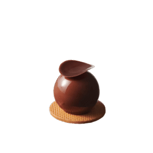 Mini Entremets Chocolate